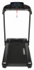   VictoryFit VF-4200     - V-SPORT   ARMSSPORT