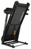   VictoryFit VF-4200     - V-SPORT   ARMSSPORT