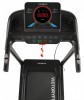   VictoryFit VF-5001  - V-SPORT   ARMSSPORT