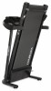   VictoryFit VF-5002    - V-SPORT   ARMSSPORT