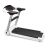 AppleGate   - V-SPORT   ARMSSPORT