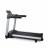 LifeSpan   - V-SPORT   ARMSSPORT