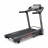 Schwinn   - V-SPORT   ARMSSPORT