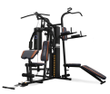   OXYGEN FITNESS VIKING  - V-SPORT   ARMSSPORT