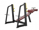     Protrain BPL141     - V-SPORT   ARMSSPORT