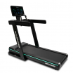   BRONZE GYM WALKWAY    - V-SPORT   ARMSSPORT