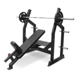 BRONZE GYM AL-305      - V-SPORT   ARMSSPORT