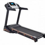    Proxima Rossi . PROT-211 s-dostavka - V-SPORT   ARMSSPORT