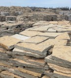      - V-SPORT   ARMSSPORT