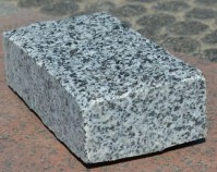     - V-SPORT   ARMSSPORT