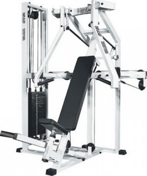   Vasil Gym .323     - V-SPORT   ARMSSPORT