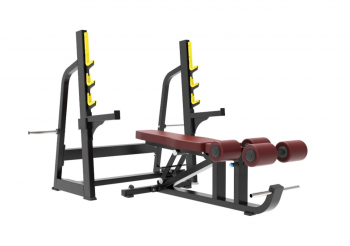     Protrain BPL186    vasil - V-SPORT   ARMSSPORT