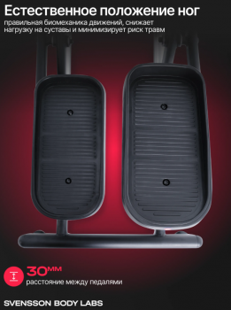 ������������� �������� �������� SVENSSON BODY LABS FORGE �� ������� ��������� - V-SPORT ��������� ���� ARMSSPORT