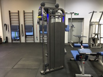 FTX-FB17 ������� ������� ����� (���������) Fitex Pro ���������������� ������� �������� - V-SPORT ��������� ���� ARMSSPORT